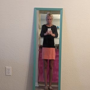 JCrew XXS Pink/Navy Long sleeve dress